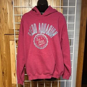 Women's Pink Hoodie with Blue Graphic